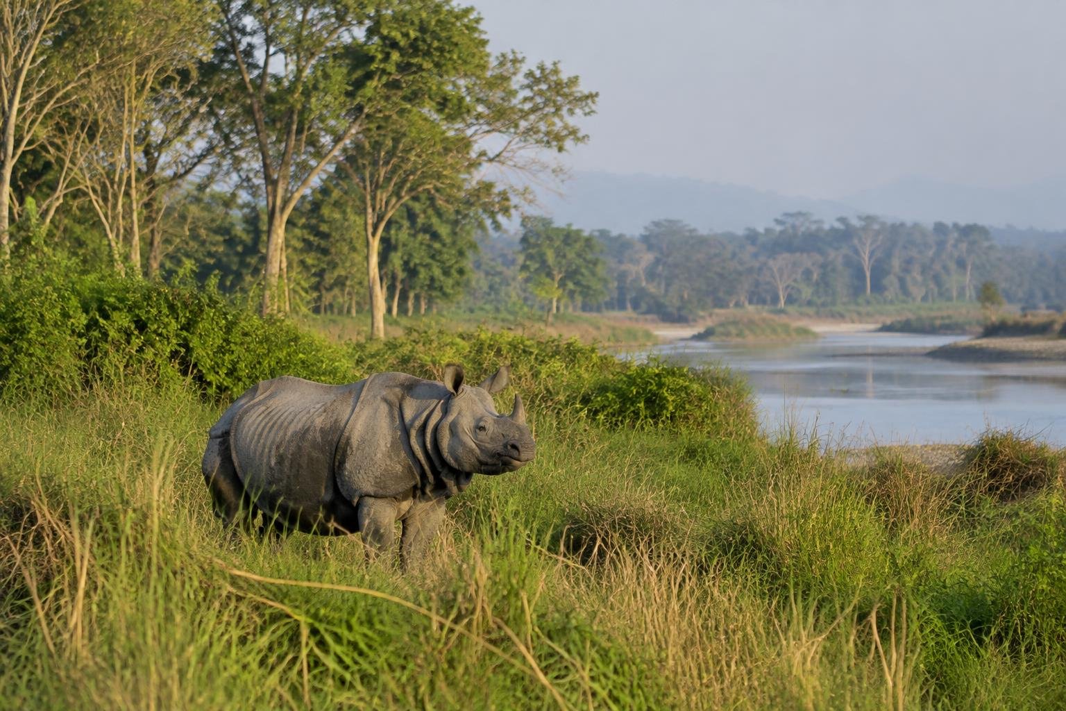 parc de Chitwan — illustration, étape du jour 8